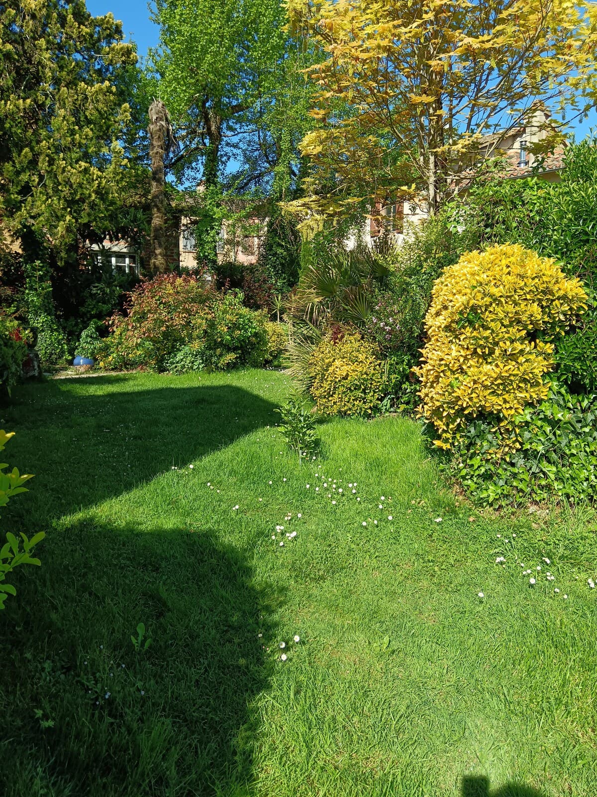 Chez Carole, le jardin secret au coeur du village in Vazerac, photo 26