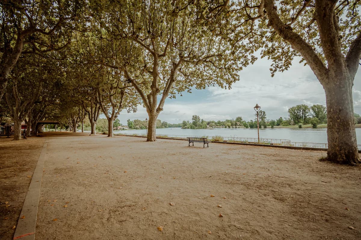 Chez Françoise Culetto à Moissac, photo 7