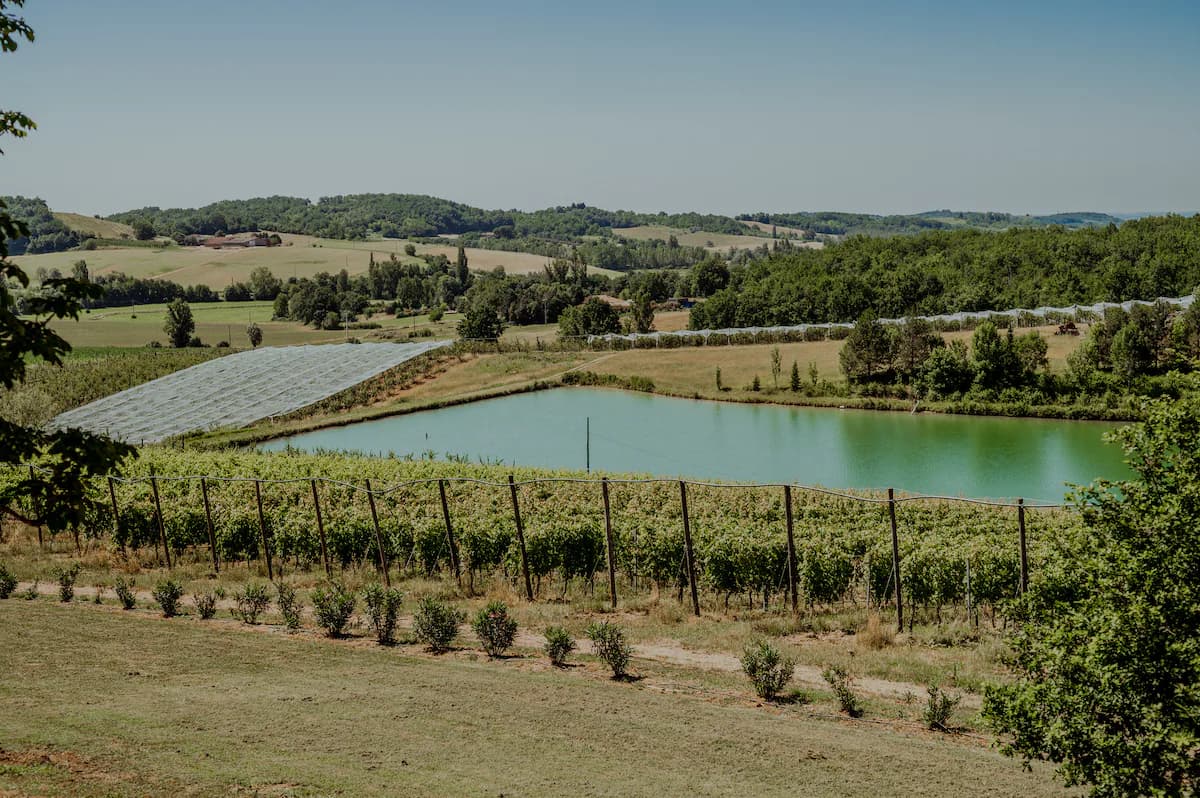 Chez Jean Jacques Cachard à Cazes-Mondenard, photo 16